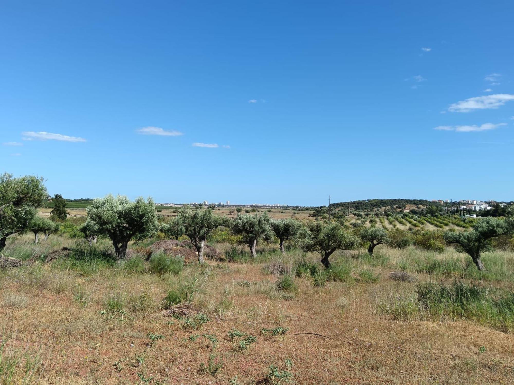 Quinta Da Fornalha - Santuario Agroecologico Villa Castro Marim Dış mekan fotoğraf