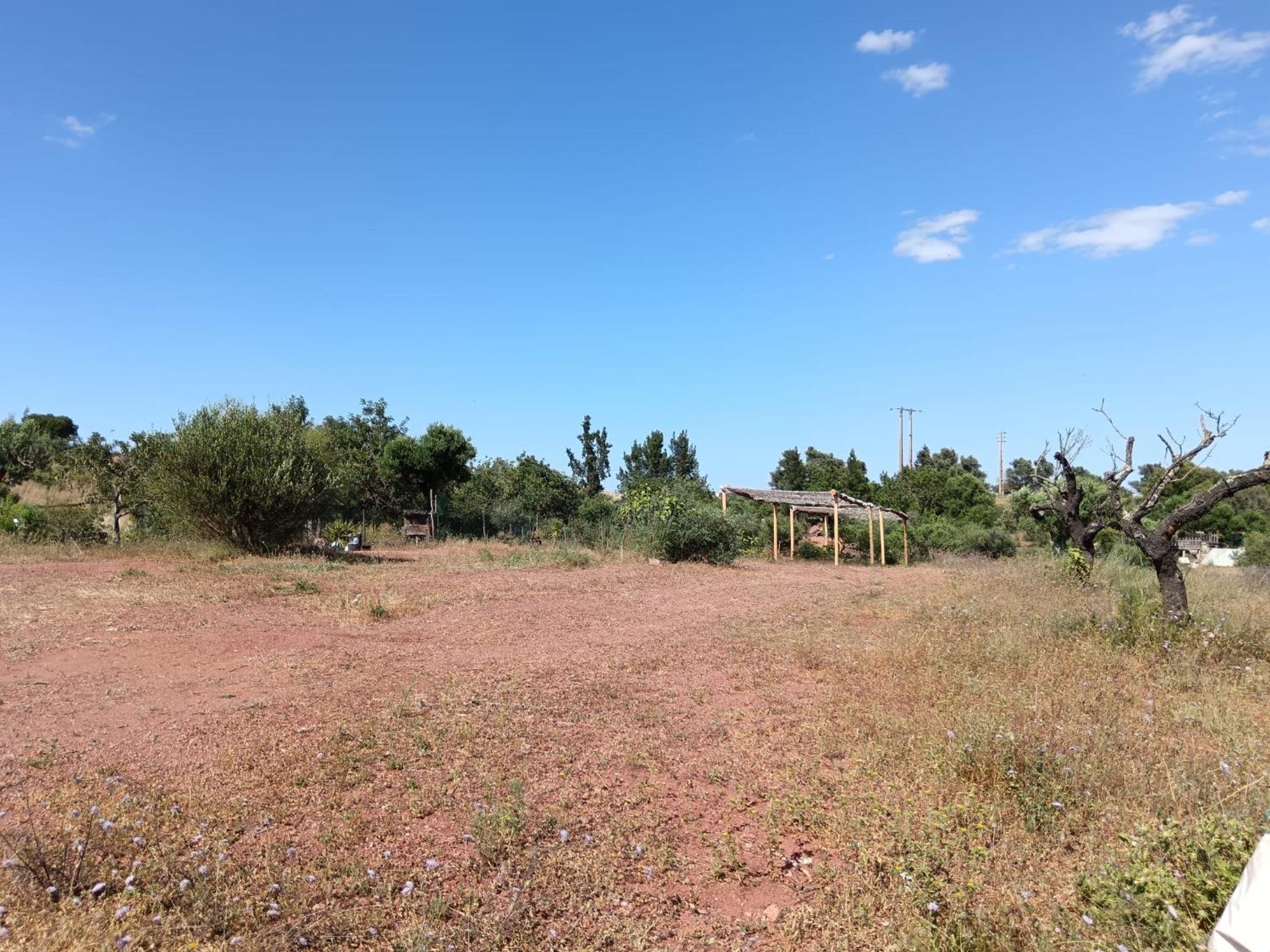 Quinta Da Fornalha - Santuario Agroecologico Villa Castro Marim Dış mekan fotoğraf